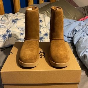 BRAND NEW UGGS never worn!